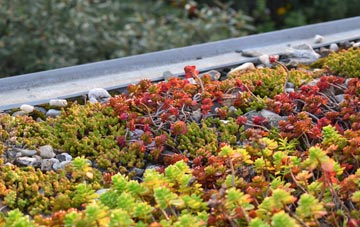 the cost of Stogumber green roof installation