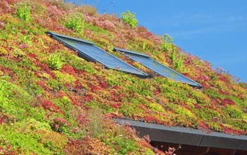 Stogumber living roof systems